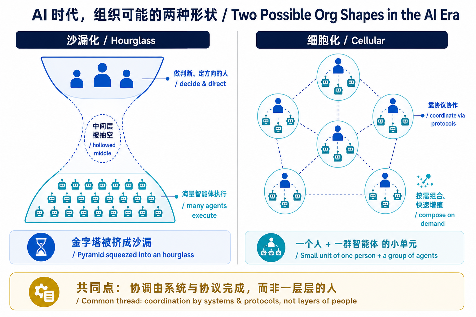 AI 时代组织的两种可能形状：沙漏化（顶部少数人决策、底部海量智能体执行、中间被抽空）与细胞化（一个人加一群智能体的小单元靠协议组合）